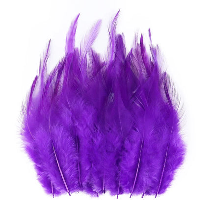 Natural Pheasant & Chicken Craft Feathers Bulk Lot