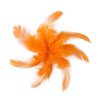 Orange / 2000PCS