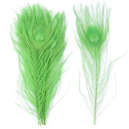 Premium Peacock Eye Feathers 10PC