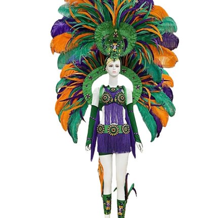 Regal Feathered Backpiece and Rhinestone Costume Set