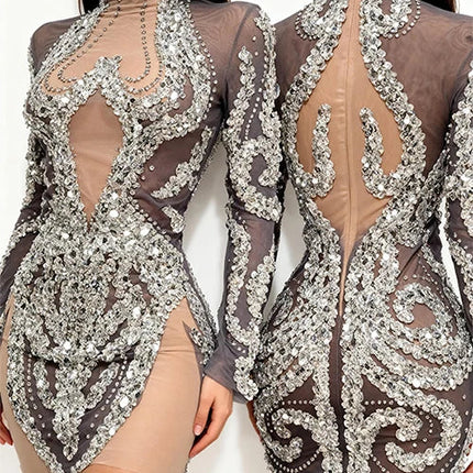 Sparkly Silver Rhinestone & Sequin Sheer Mesh Mini Dress Stage Costume