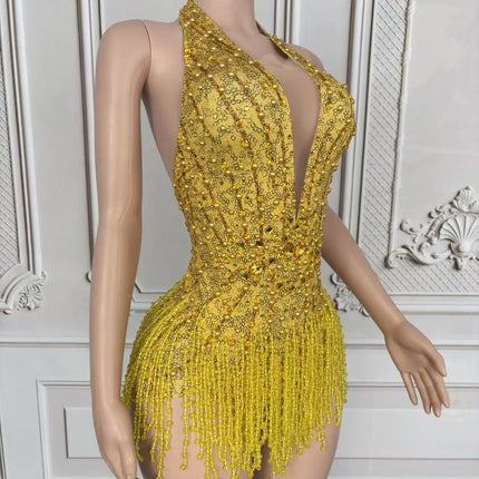 Crystal Rhinestone Fringe Sleeveless Bodysuit & Aerial Dance Leotard Costume