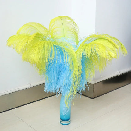 10PC Two-Tone Decorative Feather Plumes