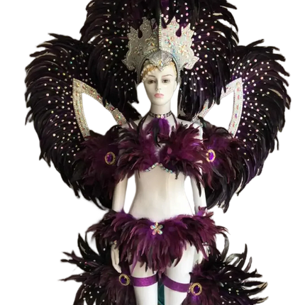 Jewel-Toned Feathered Wings and Headdress Set