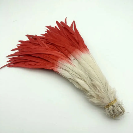 50PCS Two-Tone Rooster Tail Feathers (35-40CM)
