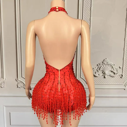 Crystal Rhinestone Fringe Sleeveless Bodysuit & Aerial Dance Leotard Costume