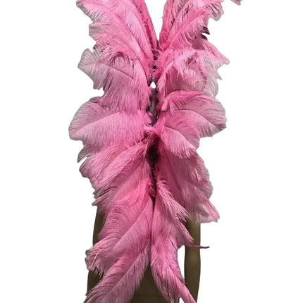 The Stardust Luminary – Premium Feathered Carnival & Samba Halo Headdress