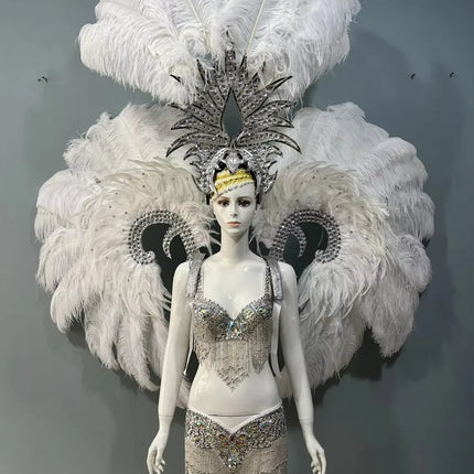 Grand Feathered Wing and Headdress Costume Set