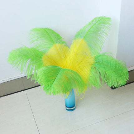10PC Two-Tone Decorative Feather Plumes