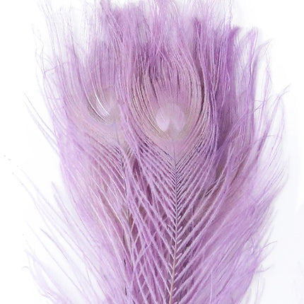 Premium Peacock Eye Feathers 10PC