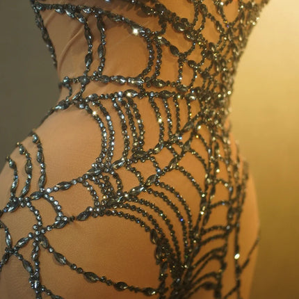 Sparkly Silver Rhinestone Spider Web Mesh Stage Performance Costume Set