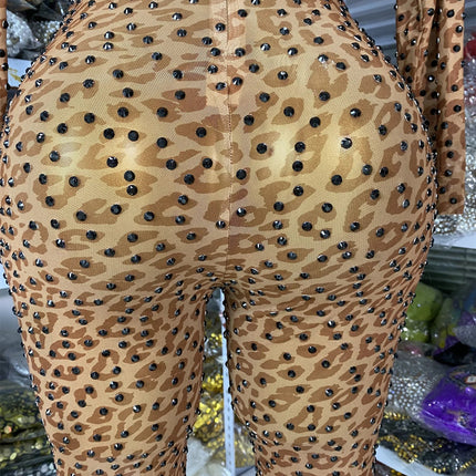 Leopard Print Rhinestone Catsuit Long Sleeve Stage Performance Jumpsuit