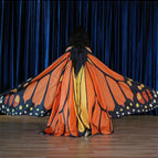 Adult  Orange / Adult 155-175cm