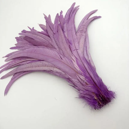 50PCS Two-Tone Rooster Tail Feathers (35-40CM)
