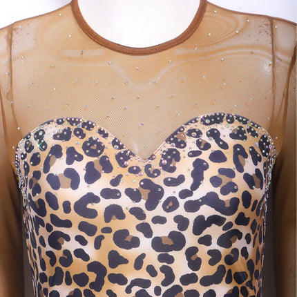 Leopard Rhinestone Fringe Latin Dance Bodysuit Mesh Long Sleeve Stage Performance Dress