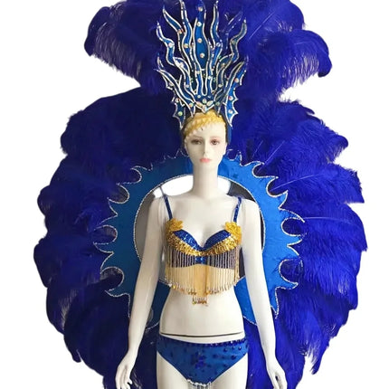 Feathered Carnival Headdress and Backpack Wing Set