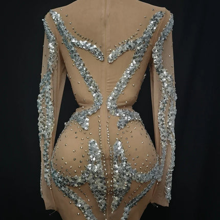 Sparkly Silver Rhinestone & Sequin Long-Sleeve Sheer Mini Dress Stage Performance Costume