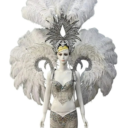 Grand Feathered Wing and Headdress Costume Set
