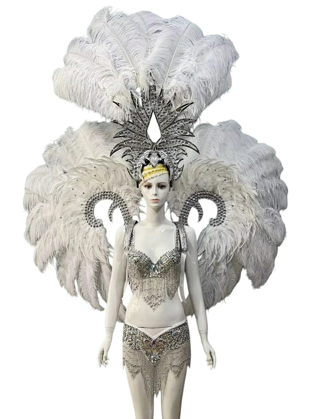 Grand Feathered Wing and Headdress Costume Set