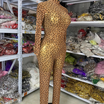Leopard Print Rhinestone Catsuit Long Sleeve Stage Performance Jumpsuit