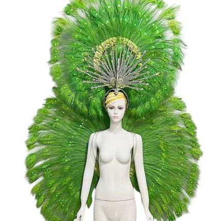 Showgirl Feather Backpiece and Rhinestone Headdress Set