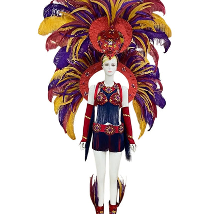 Regal Feathered Backpiece and Rhinestone Costume Set