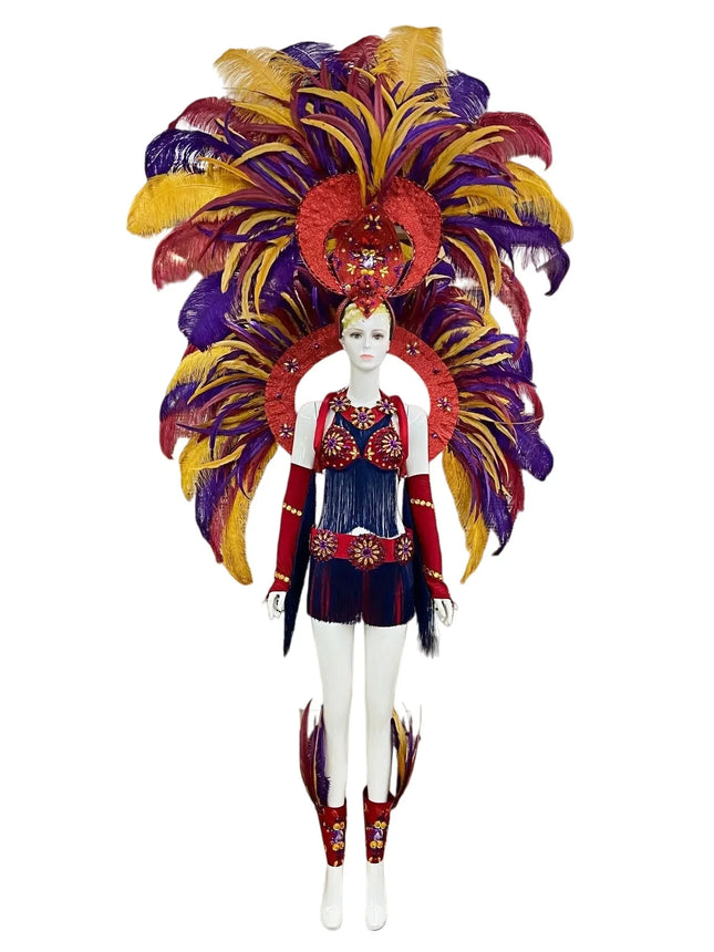 Regal Feathered Backpiece and Rhinestone Costume Set