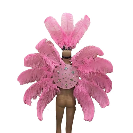Feather Backpiece and Plume Headdress Set