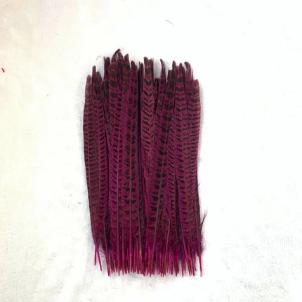Natural Female Pheasant Tail Feathers (10pcs/lot)