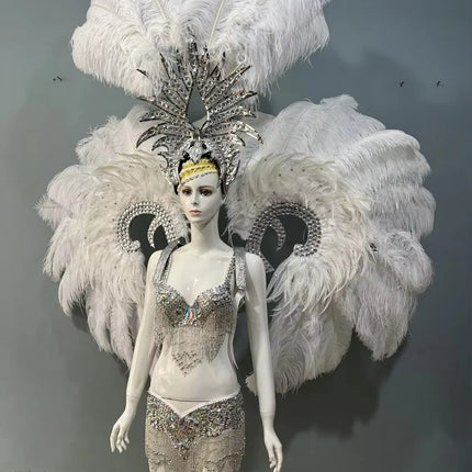 Grand Feathered Wing and Headdress Costume Set