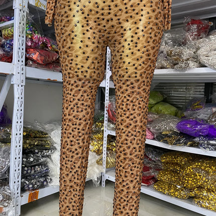 Leopard Print Rhinestone Catsuit Long Sleeve Stage Performance Jumpsuit