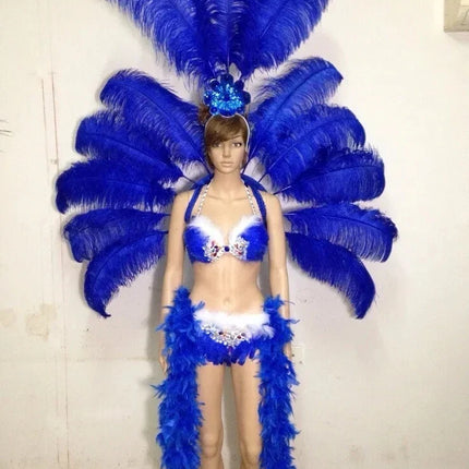 The Stardust Victoria Sovereign – Deluxe Angel Feather Wing & Headdress Stage Costume Set