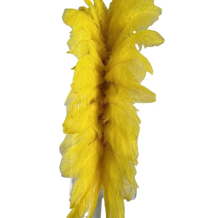 The Stardust Luminary – Premium Feathered Carnival & Samba Halo Headdress