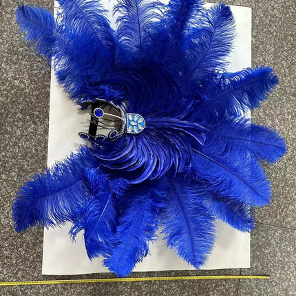 The Stardust Samba Enchantment – Exquisite Feathered Dance & Stage Headdress