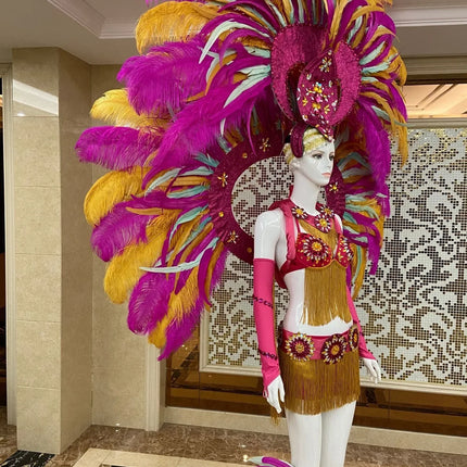 Regal Feathered Backpiece and Rhinestone Costume Set