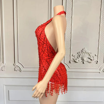 Crystal Rhinestone Fringe Sleeveless Bodysuit & Aerial Dance Leotard Costume