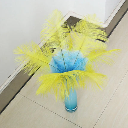 10PC Two-Tone Decorative Feather Plumes