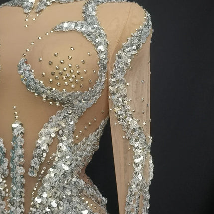 Sparkly Silver Rhinestone & Sequin Long-Sleeve Sheer Mini Dress Stage Performance Costume