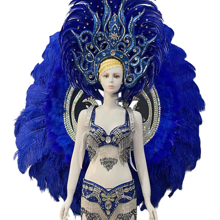 Royal Blue Feathered Gala Performance Set