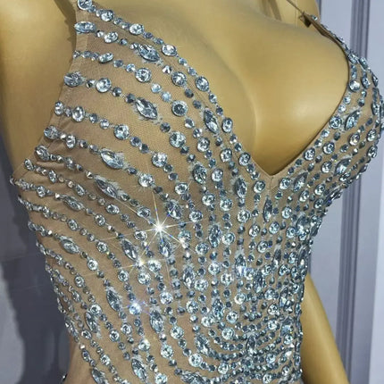 Sparkly Silver Rhinestone Tassel Sheer Mesh Stage Bodysuit Leotard Costume