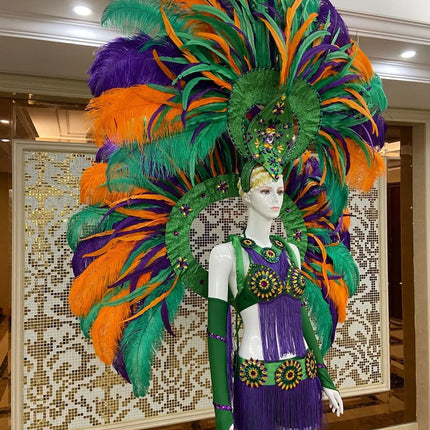 Regal Feathered Backpiece and Rhinestone Costume Set