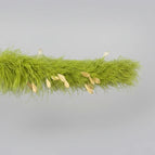 Army Green / 8ply 2Meters