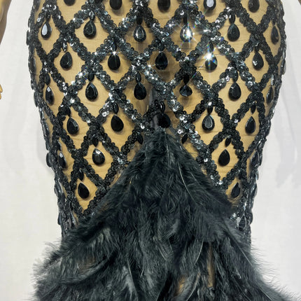 Sparkly Rhinestone Feather Sheer Mesh Evening Gown Stage Fashion Show Outfit