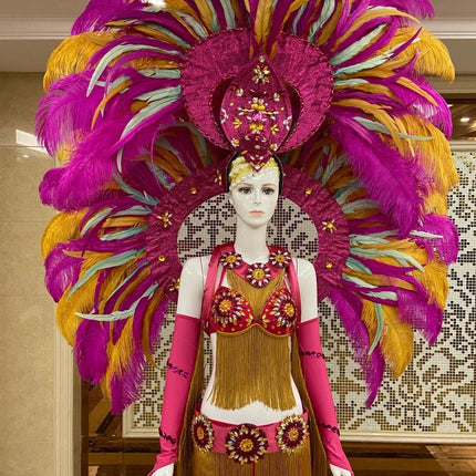 Regal Feathered Backpiece and Rhinestone Costume Set