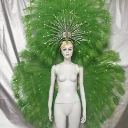 Showgirl Feather Backpiece and Rhinestone Headdress Set
