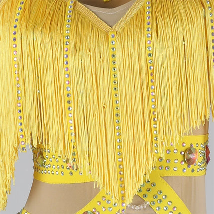 Professional Latin Dance Competition Dress & Tassel Fringe Performance Outfit