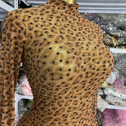 Leopard Print Rhinestone Catsuit Long Sleeve Stage Performance Jumpsuit
