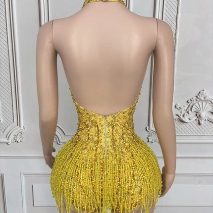 Crystal Rhinestone Fringe Sleeveless Bodysuit & Aerial Dance Leotard Costume