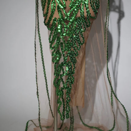Sparkly Green Sequin Sheer Mesh Evening Gown with Cloak Stage Performance Costume
