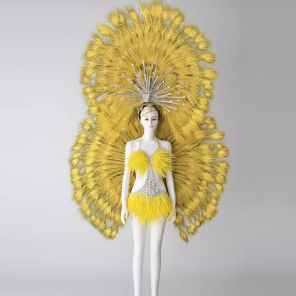 Showgirl Feather Backpiece with Rhinestone Burst Headdress Costume Set